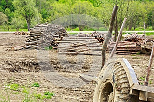 Old trailer and logs