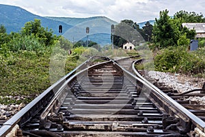 Traces of the Past: Old Train Rails Intersecting in Nature