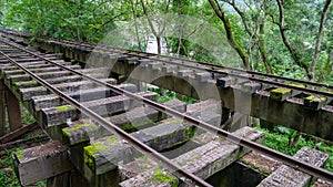 The old train tracks railway railroad bridge in forest background.