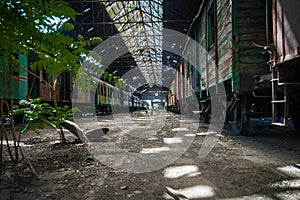 Old trains at abandoned train depot