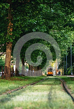 Old tram goes through green forest in Milan, Italy