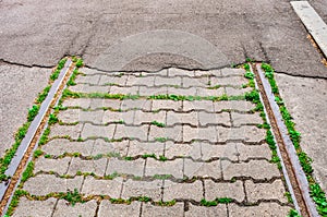 Old tram line covered asphalt