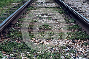 Old tram rails, close-up, summer autumn, between sleepers grass, gravel and stones in the city.