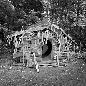An old trappers cabin is decorated with driftwood at Wells Gray Park in BC, Canada