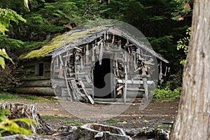 An old trappers cabin is decorated with driftwood at Wells Gray Park in BC, Canada photo
