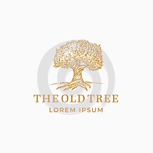 The Old Tree Abstract Vector Sign, Symbol or Logo Template. Hand Drawn Oak Tree Sketch Sillhouette with Retro Typography