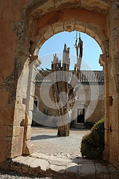 Old tree through an archway