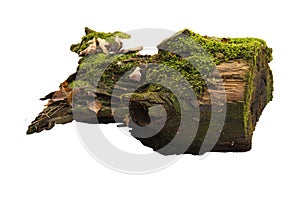 Old tree stump with moss isolated on white