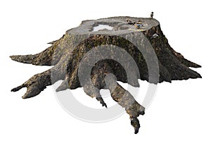 Old tree stump with moss isolated on white