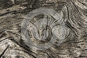 Old tree trunk, abstract background photo