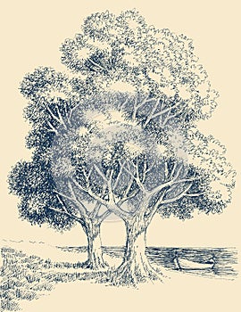 Old trees on sea shore, detailed hand drawing