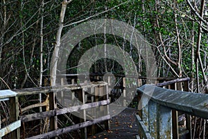 Old tropical Boardwalk