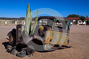 Old Truck with cactus