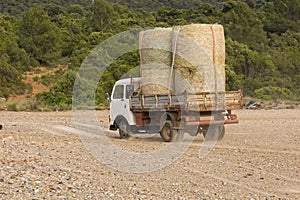 Old Truck Carries Fodder