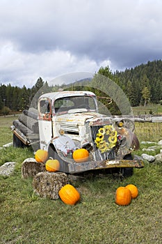 Old truck displayed with pumpkins