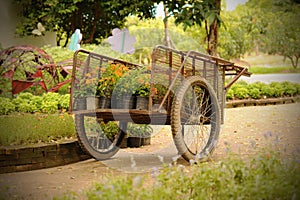 An old truck with flowers