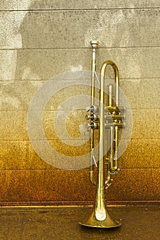 Old Trumpet