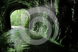 Old tunnel of the PlazaolaÃ¯Â¿Â½s photo