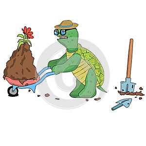 an old turtle in glasses hard pulls a construction cart with a pile of dirt and a flower that has just been dug up with