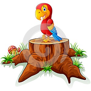 Old turtle posing on tree stump