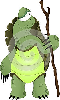 Old turtle