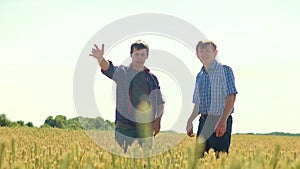 Old two farmers explore are studying. man Wheat Field summer in the field wheat bread lifestyle. slow motion video Smart