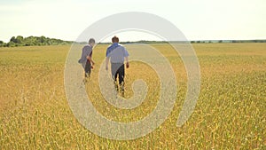 Old two farmers explore are studying. man Wheat Field summer in the field wheat bread. slow motion video. farmer Smart