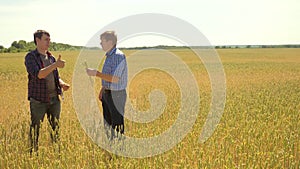 Old two farmers explore are studying. man Wheat Field summer in the field wheat bread. slow motion video. farmer Smart