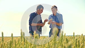 Old two farmers explore are studying. man Wheat Field summer in the field wheat bread. slow motion video. farmer Smart