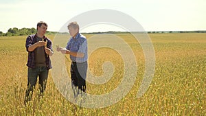 Old two farmers explore are studying. man Wheat Field summer in the field wheat bread. slow motion video. farmer Smart