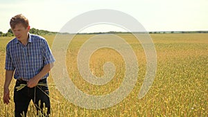 Old two farmers explore are studying. man Wheat Field summer in the field wheat bread. slow motion video. farmer Smart