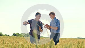 Old two farmers explore are studying. man Wheat Field summer in the field wheat bread. slow motion video Smart farming