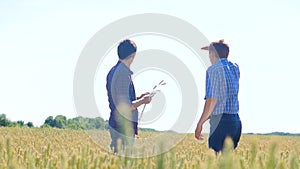 Old two farmers explore are studying. man Wheat Field summer in the field wheat bread. slow motion video Smart farming