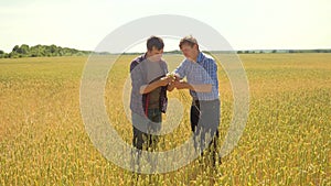 Old two farmers explore are studying to your smartphone. man Wheat Field summer in the field wheat bread. slow motion