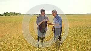 Old two farmers explore are studying to your smartphone. man Wheat Field summer in the field wheat bread. slow motion