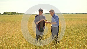 Old two farmers explore are studying to your smartphone. man Wheat Field summer in the field wheat bread. slow motion