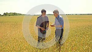 Old two farmers explore are studying to your smartphone. man Wheat Field summer in the field wheat bread. slow motion