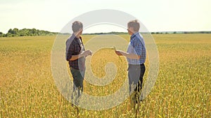 Old two farmers explore are studying to your smartphone. man Wheat Field summer in the field wheat bread. slow motion