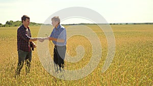 Old two farmers handshake explore are studying. man Wheat Field summer in the field wheat bread. slow motion video