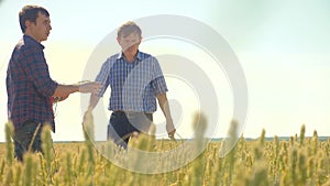 Old two farmers summer handshake man Wheat Field running in the field wheat bread. slow motion video. farmer ecology