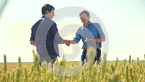 Old two farmers summer handshake man Wheat Field running in the field wheat bread. slow motion video. farmer ecology