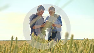 Old two farmers summer handshake man on your smartphone Wheat Field running in the field wheat bread. slow motion video