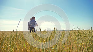 Old two farmers summer man Wheat Field running in the field wheat bread. slow motion video. farmer ecology concept