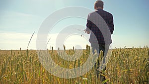 Old two farmers summer man Wheat Field running in the field wheat bread. slow motion video. farmer ecology lifestyle