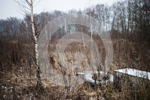 Old tyres in the field