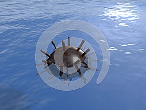 Old underwater mine in the sea.