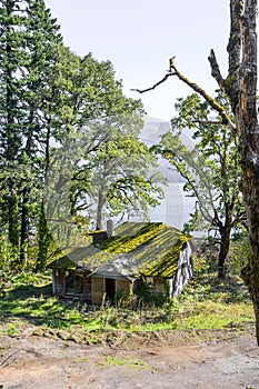An old uninhabited empty house with a moss-covered roof stands in the middle of trees by the river