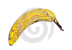 Old Unpeeled Banana Isolated on White Background, Ripe Tropical Fruit