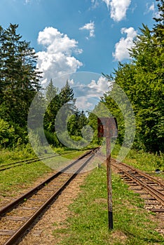 Old, unused railway tracks in the forest