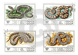 Old USSR mail stamps with snakes
